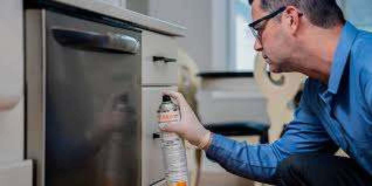 Protecting Brampton Homes from Seasonal Pest Surges