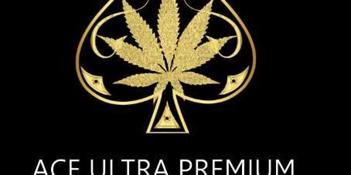 Why Vapers Choose the Ace Ultra Premium Disposable