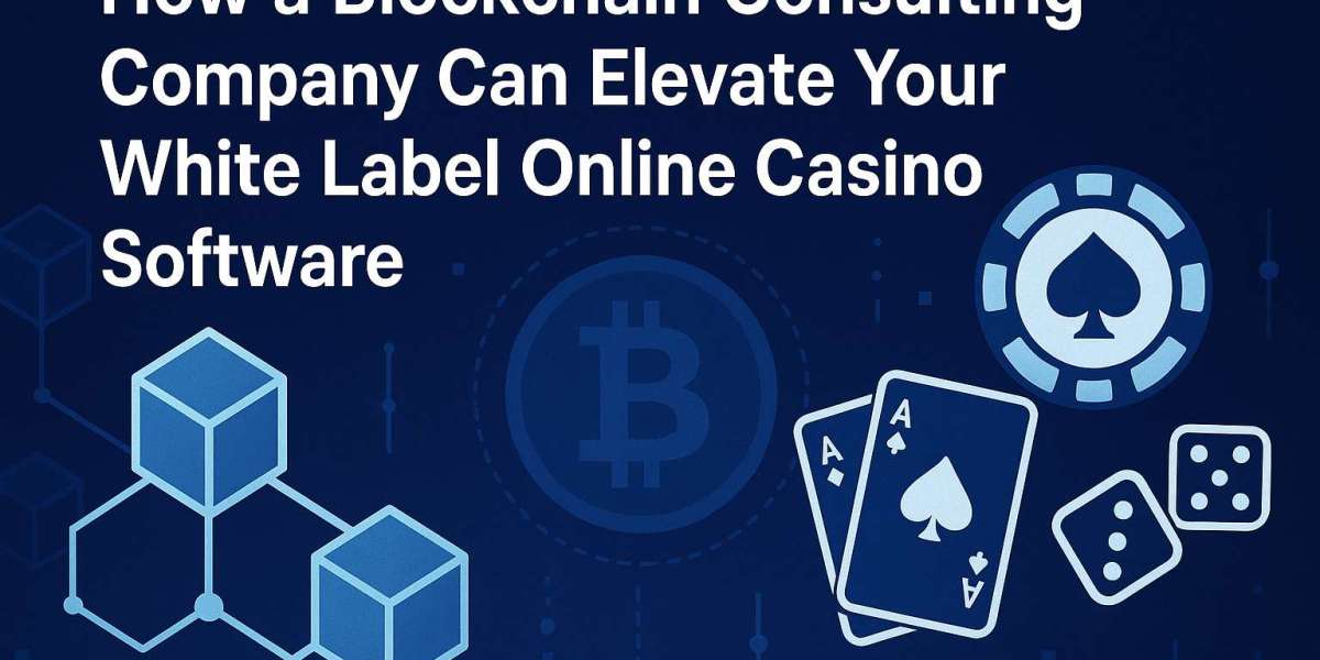 Unlocking the Future: A Deep Dive into Web3 Development Solutions, KOL Management Software, Crypto X/Twitter Marketing, 