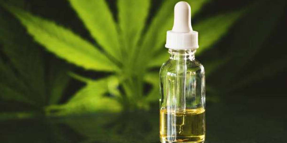 CBD Poitiers : Quand nature et bien-être se rencontrent