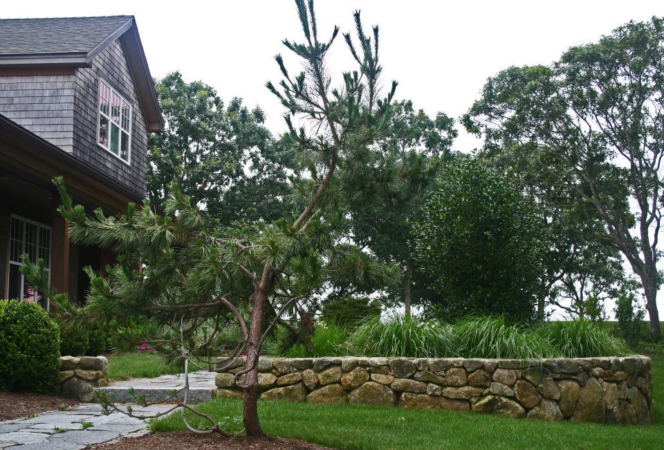 Why Lawn Maintenance in South Shore Needs Professionals - blogrify.com