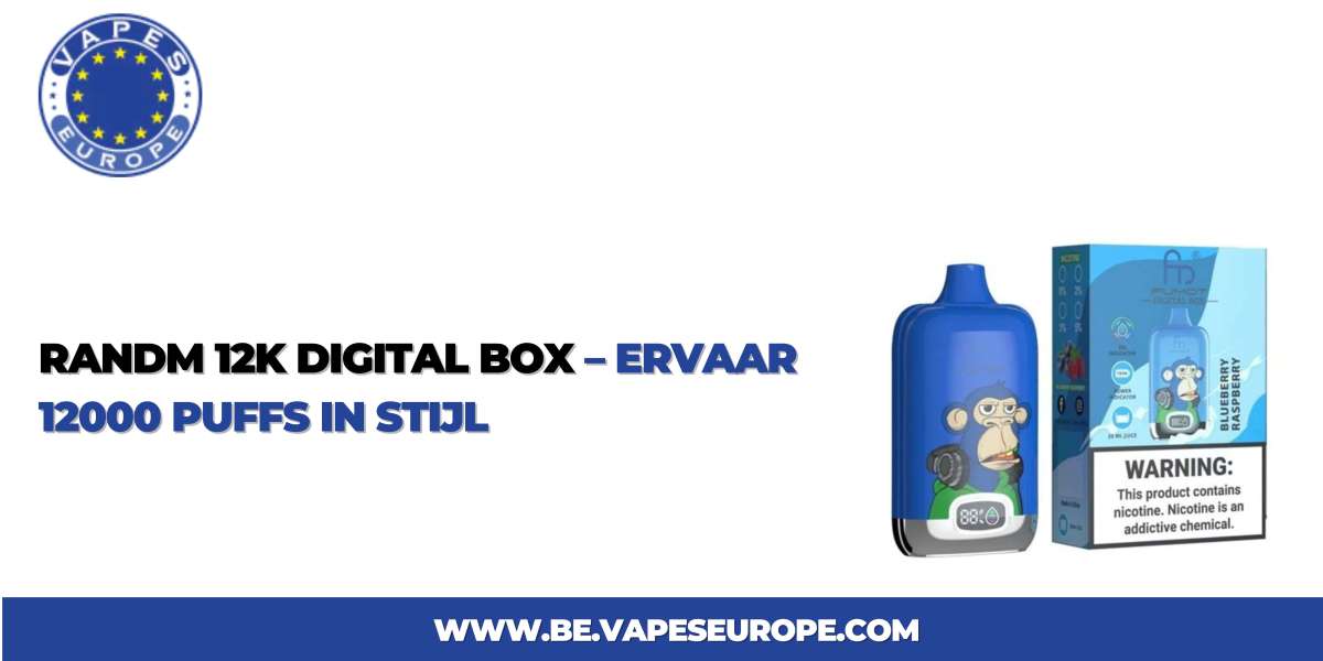 RandM 12K Digital Box – Ervaar 12000 Puffs in Stijl