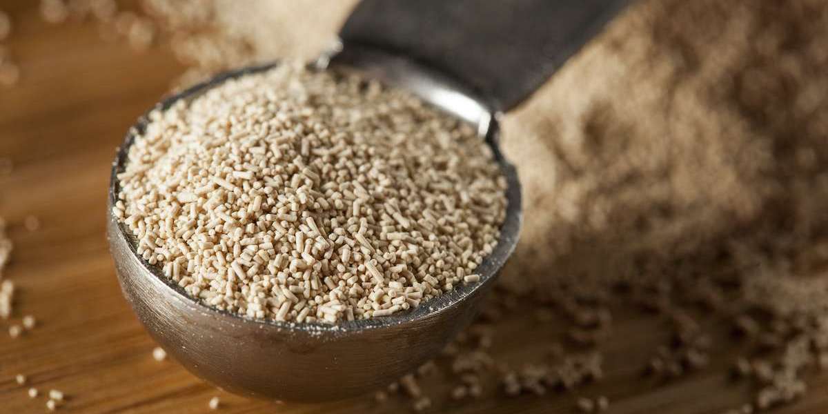 Dry Yeast Market Research Provides Insights Into Challenges, Restraints, And Competitive Landscape Worldwide