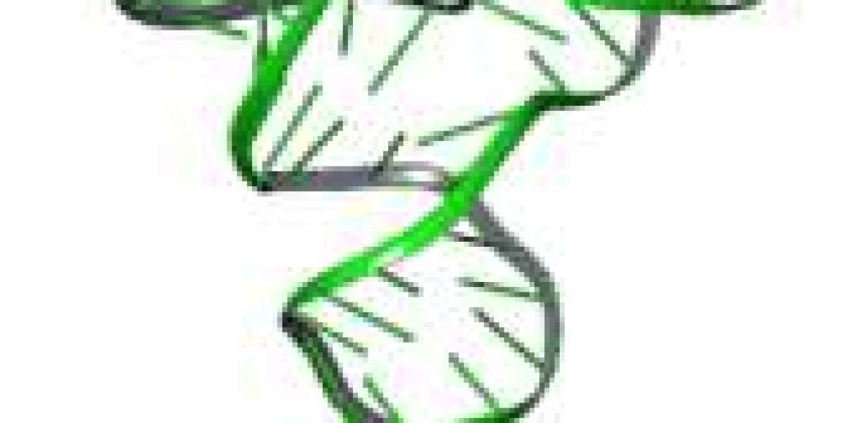 Aptamer Market Pain Points: Key Challenges Limiting Adoption and Growth in Diagnostics and Therapeutics