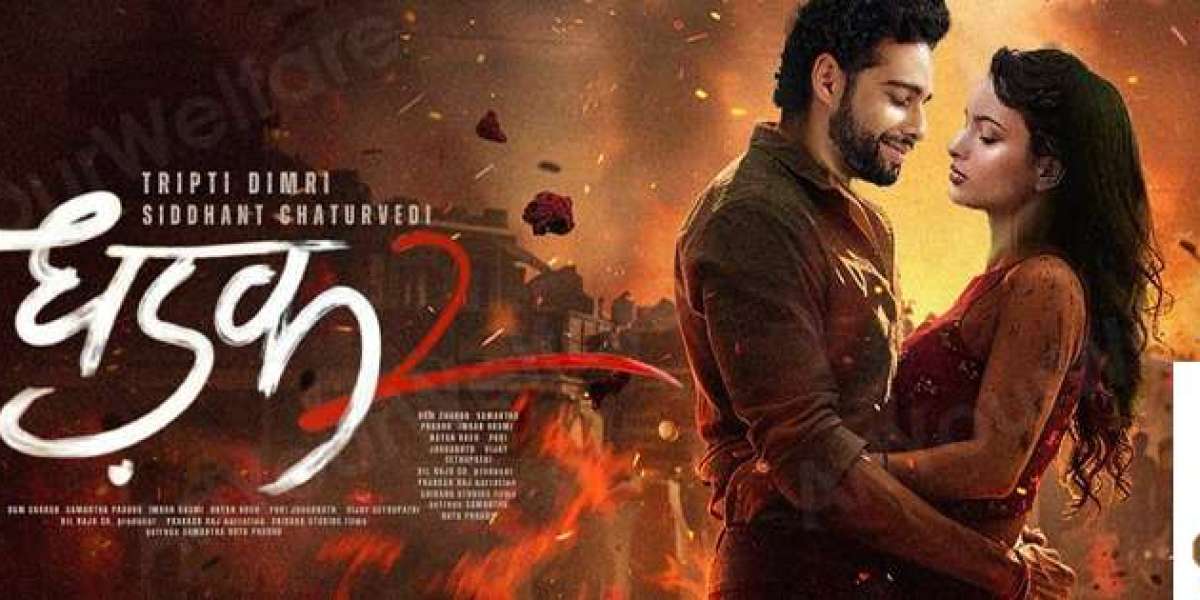 Dhadak 2 Movie Review: Love vs Society