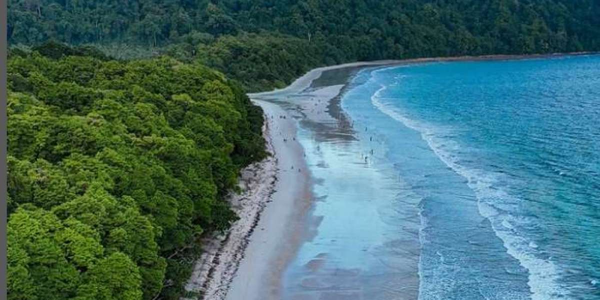 BEST BEACHES TO VISIT IN HAVELOCK ISLAND