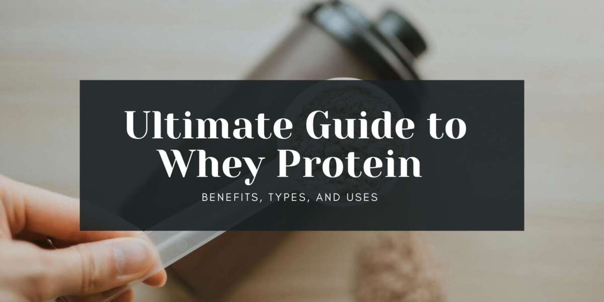 Unlocking Whey Protein: How to Use Whey Protein & Where to Buy in Bangalore