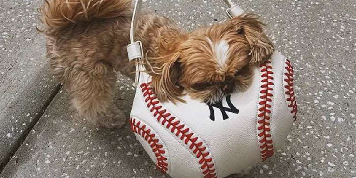 Top Benefits of Carrying an MLB Bag That Matches Your Favorite MLB Hobo Style