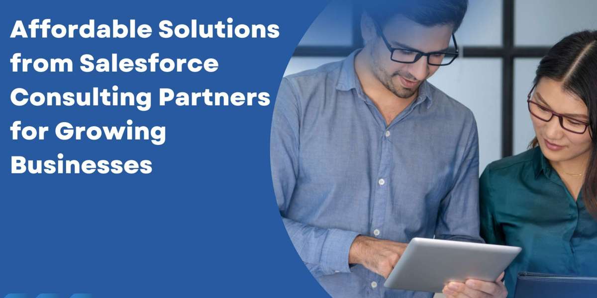 Affordable Solutions from Salesforce Consulting Partners for Growing Businesses