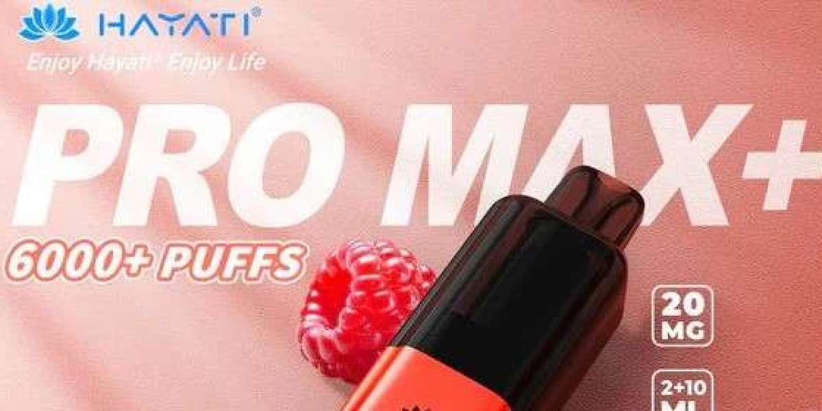 Hayati Pro Max 6000 Puffs: The Premium Choice for Smooth and Flavorful Vaping