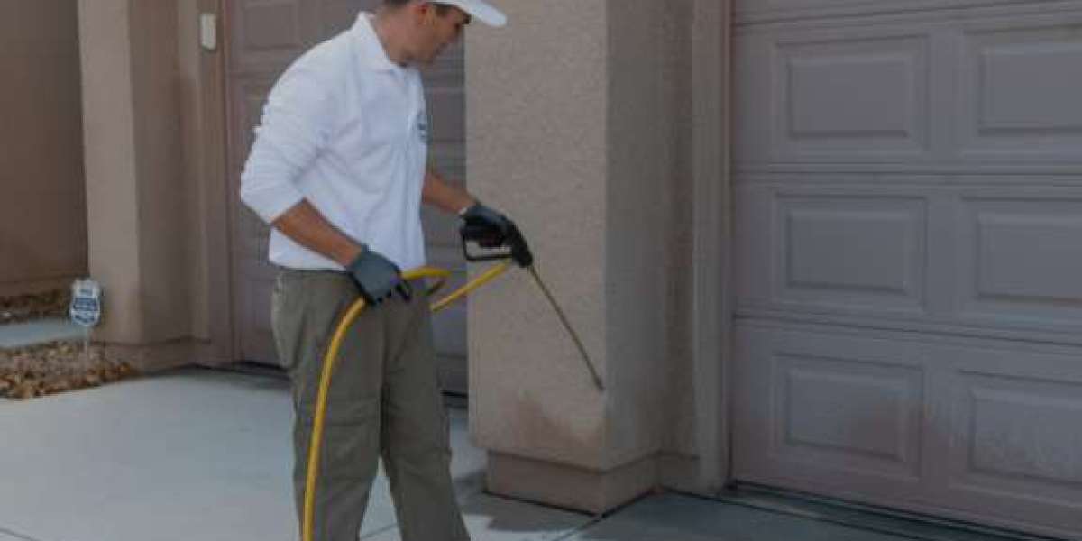 Effective Scorpion Pest Control in Las Vegas with Enviro Guard Pest Control