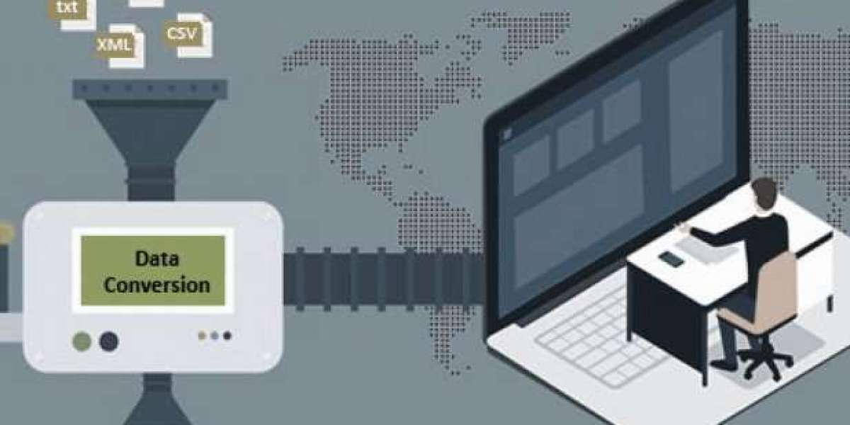 Unlocking the Future: Insights into the Data Converter Market