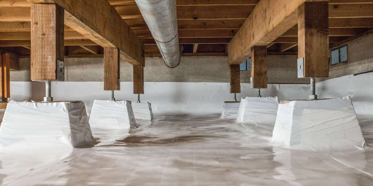 Trusted Crawlspace Waterproofing Experts in Louisville, KY
