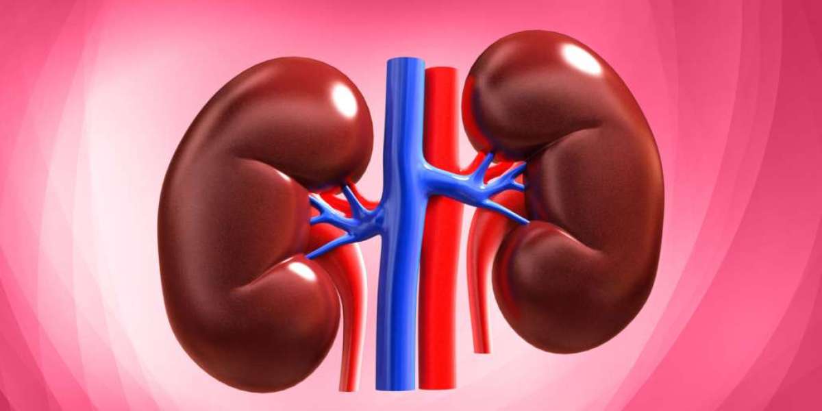 Kidney Health Restored: Transplant Surgery and the Path to Recovery