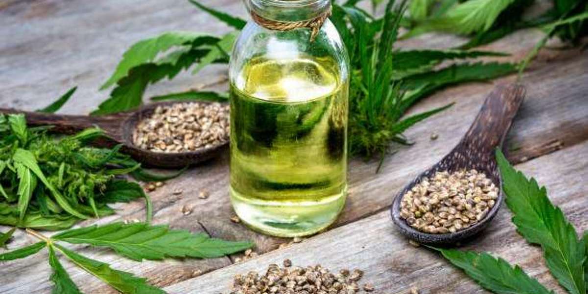 CBD Talence : La nouvelle vague bien-être en Gironde