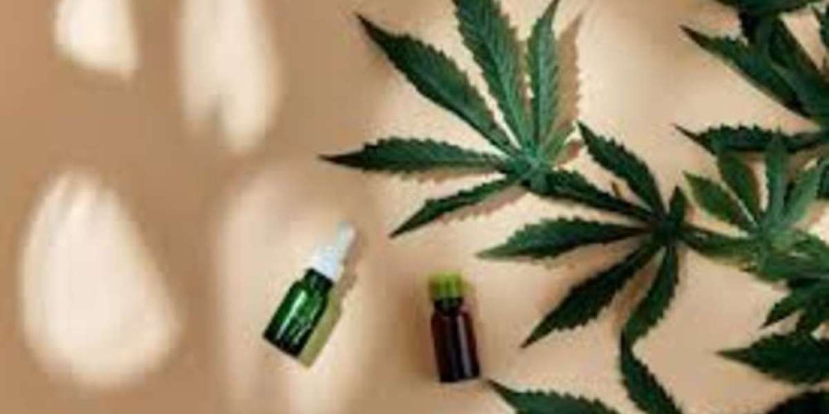 Découvrez le CBD à Saintes : bienfaits et conseils pour bien choisir