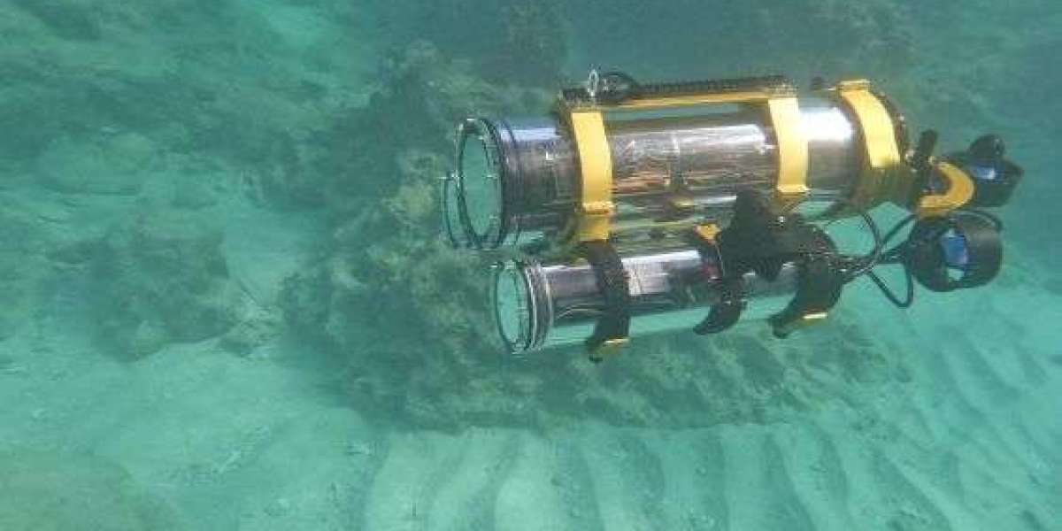 Underwater Robotics Market Size Projections & Share Insights 2025–2033