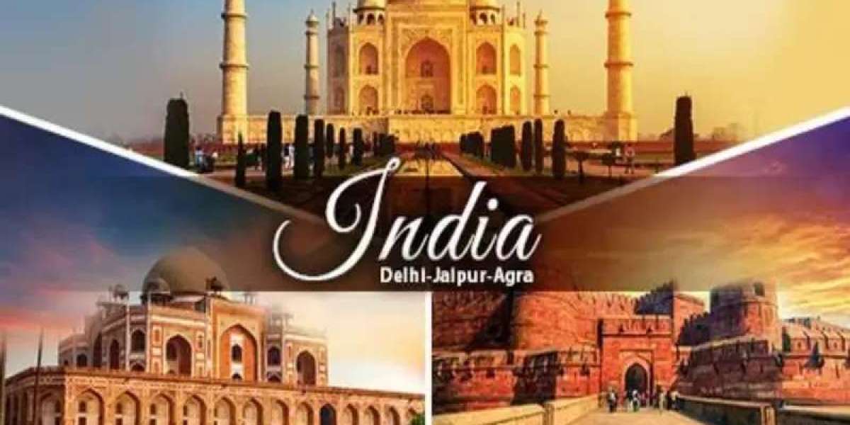 Plan Your Dream Holiday with Go India Holiday – Golden Triangle, Rajasthan & Global Tours