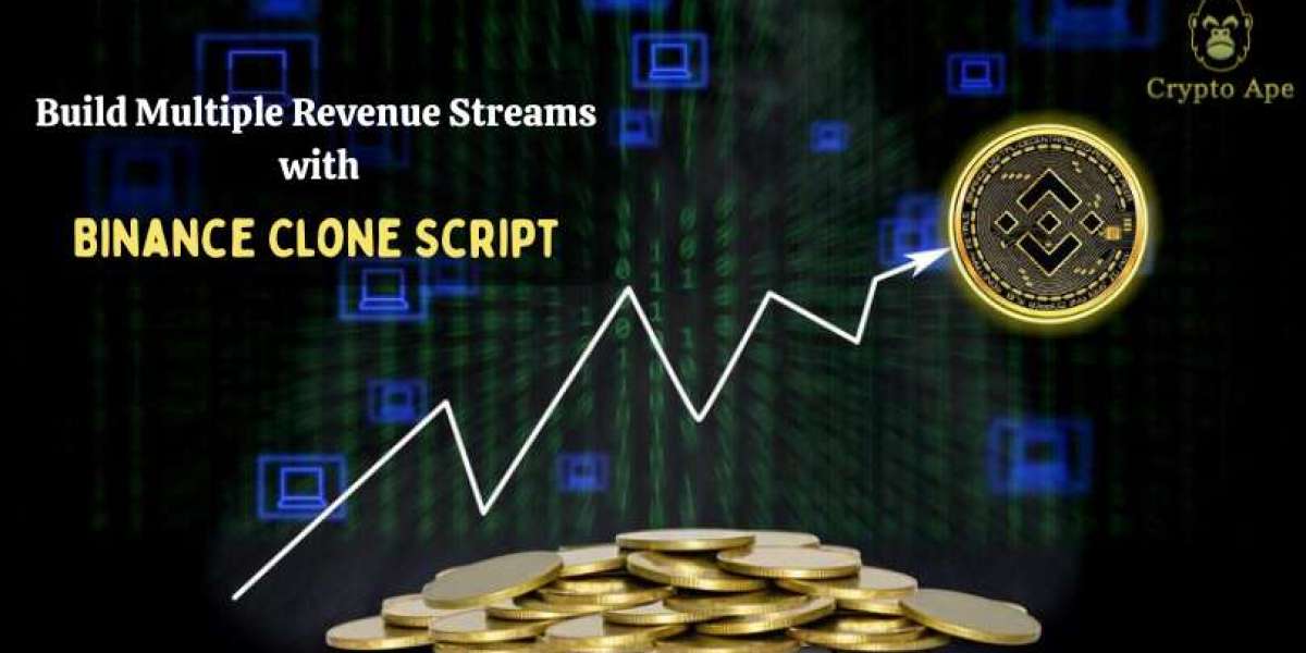 How to Build Multiple Revenue Streams with a Binance Clone Script