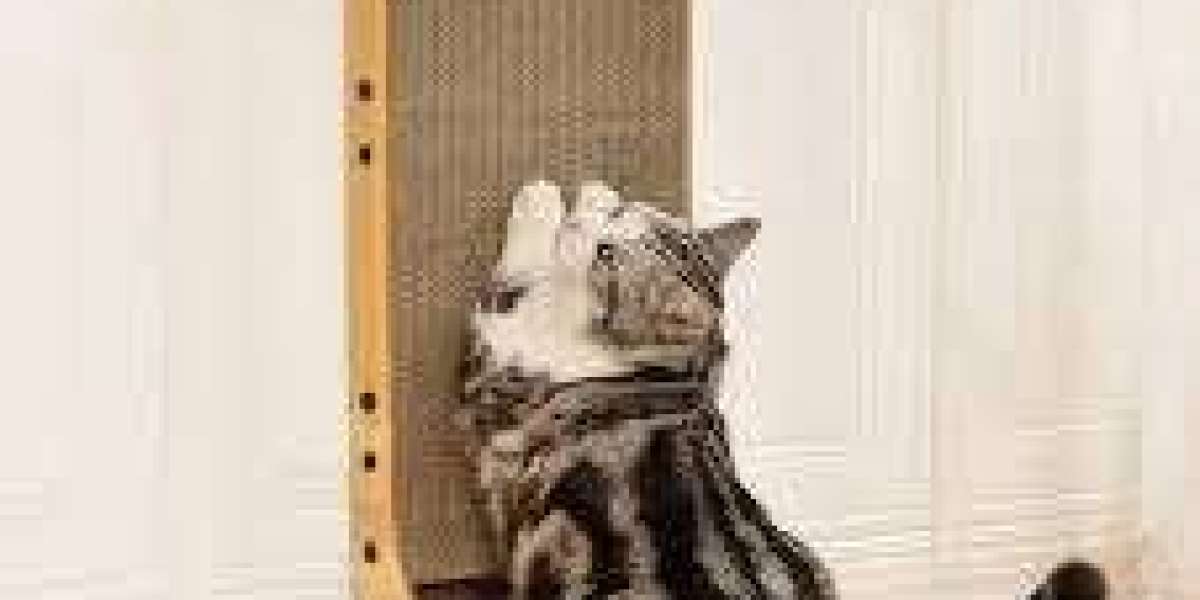 The Complete Guide to L-Shape Cat Scratchers