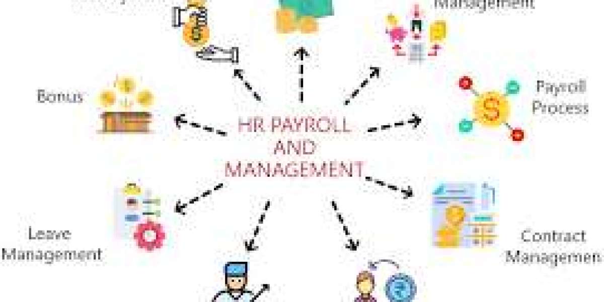 The Importance of Payroll Software and Payroll Management Systems for Businesses