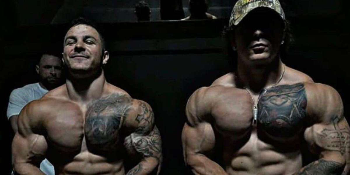 Find Safe and Reliable Sources for Anabolic Supplements