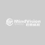 Mind Vision