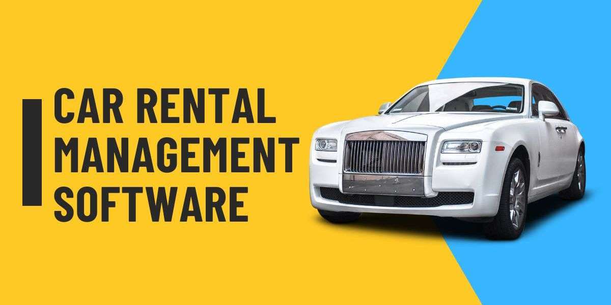How Car Rental Management Software Reduces Costs and Increases Profit Margins