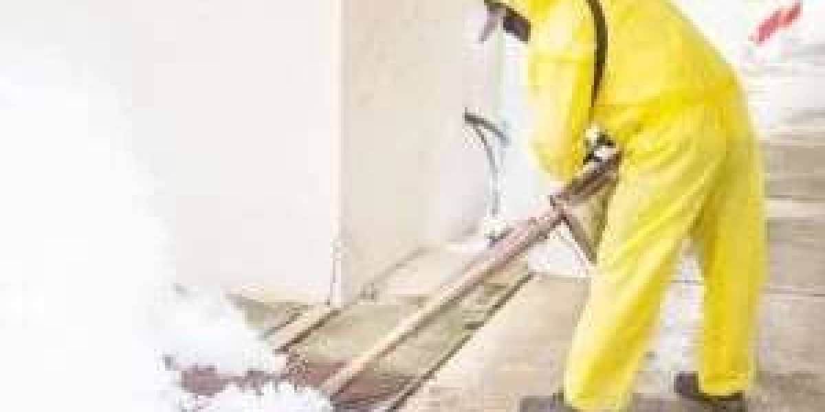 Effective Pest Management Solutions for a Safer Melbourne Home