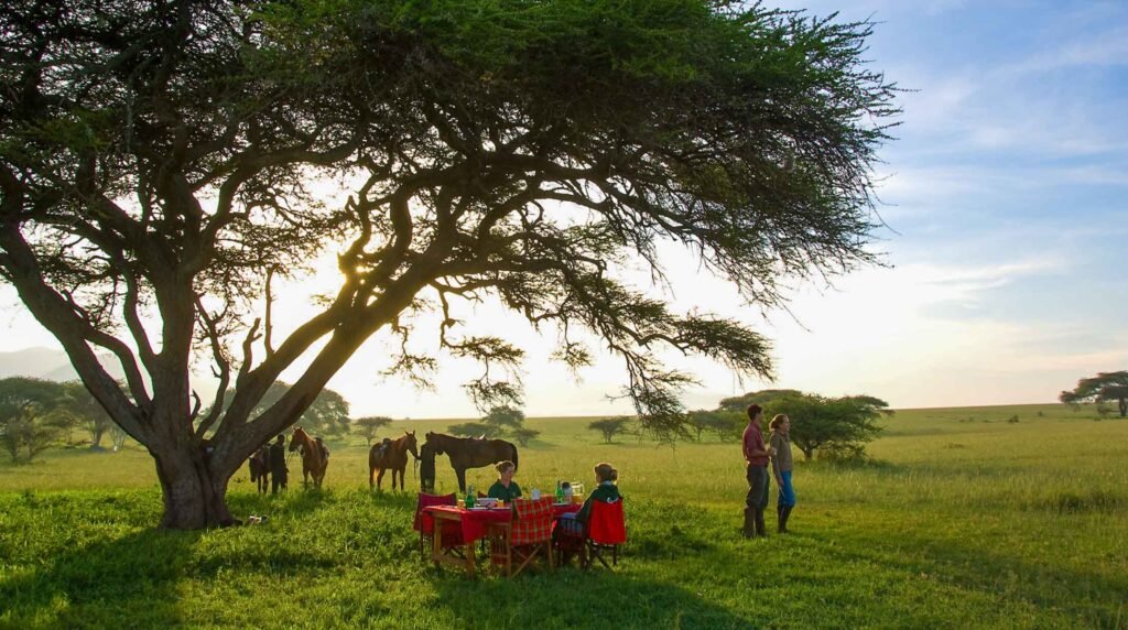 Why Book A Private Safari Instead Of A Group Tour?
