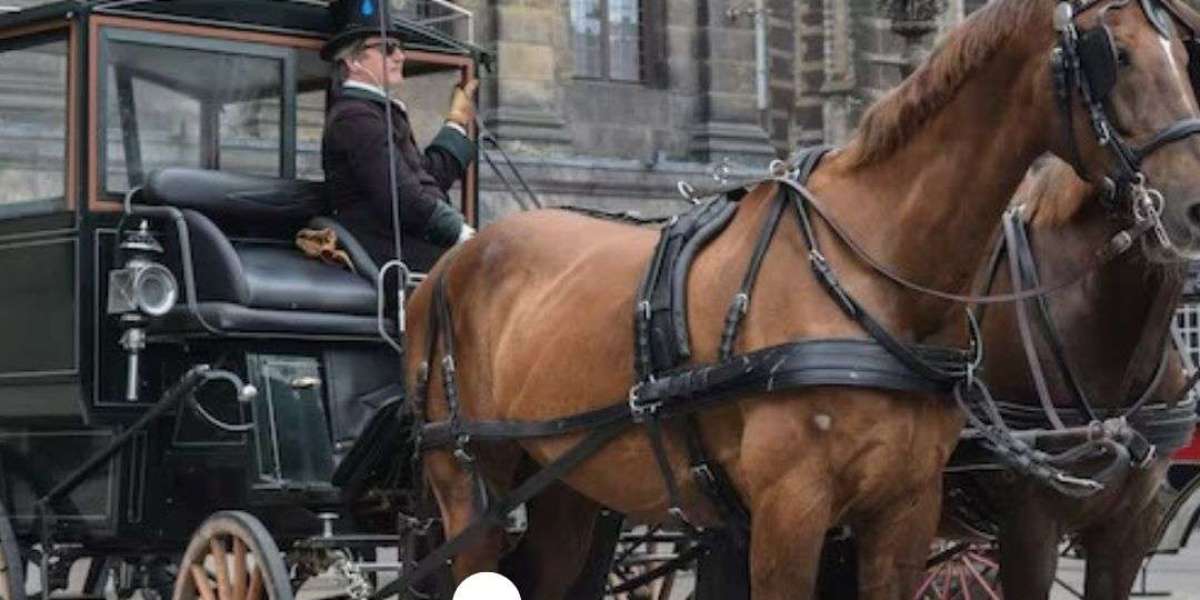 Guide to Choosing Reliable Horse Shipping Companies