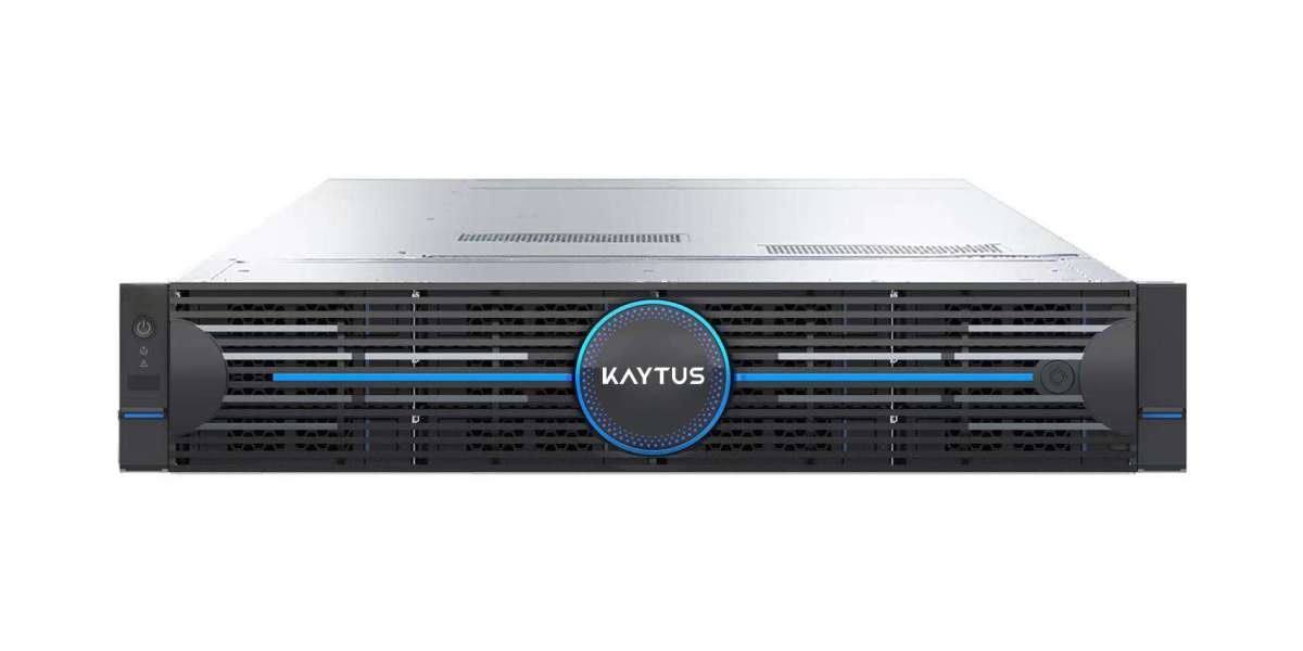 Taming Data Chaos: The Strategic Role of Centralized Hybrid Flash Storage