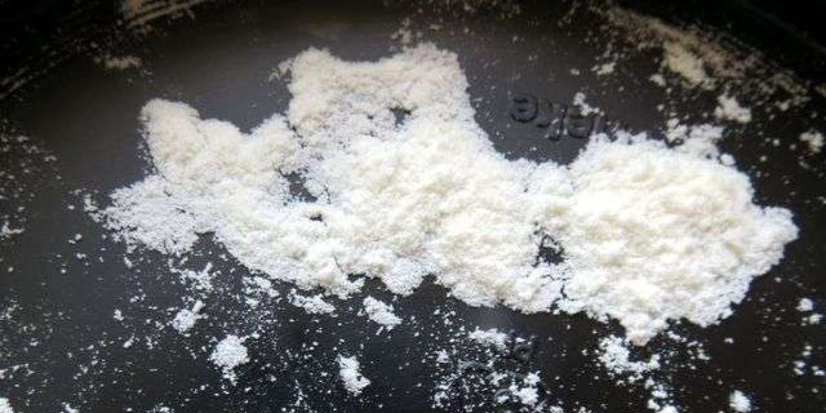 Casein Glycomacropeptide Market Overview: Innovations, Consumer Demand, and Regional Industry Analysis