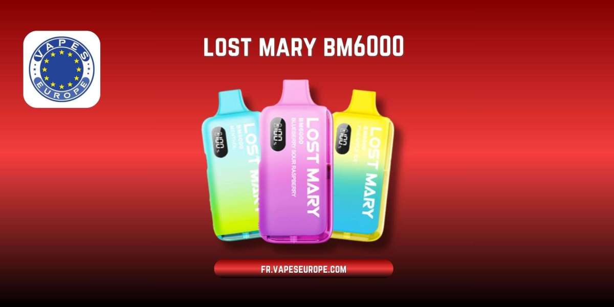 Lost Mary BM6000 : La puff 6000 Puffs qui séduit les amateurs de vape