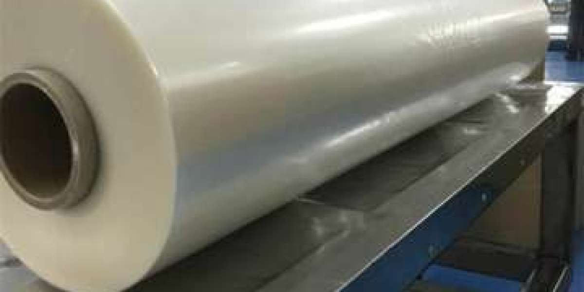 Water Soluble Film Market Forecast: Size, Growth & Trends 2025–2033