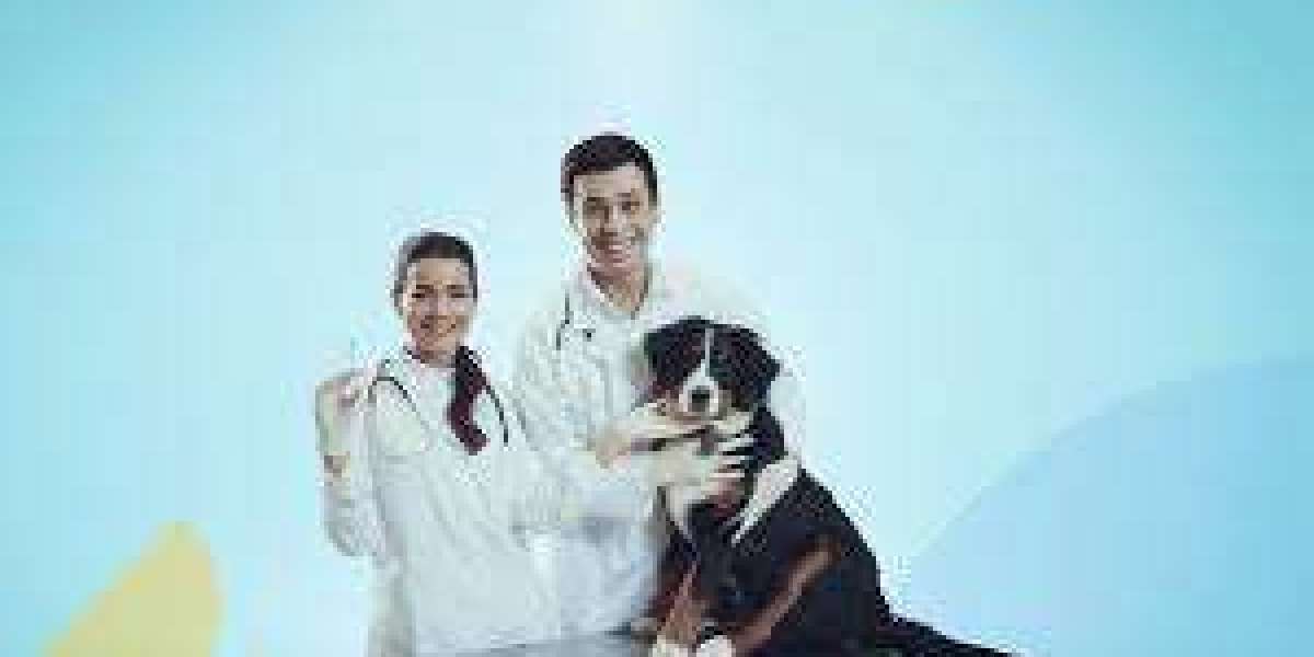 Top Pet Care Trends Every Owner Should Know in 2025