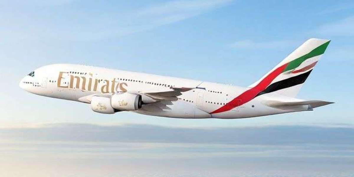 Reasons to Dial Etihad Airways Booking Phone Number Dulles Airport