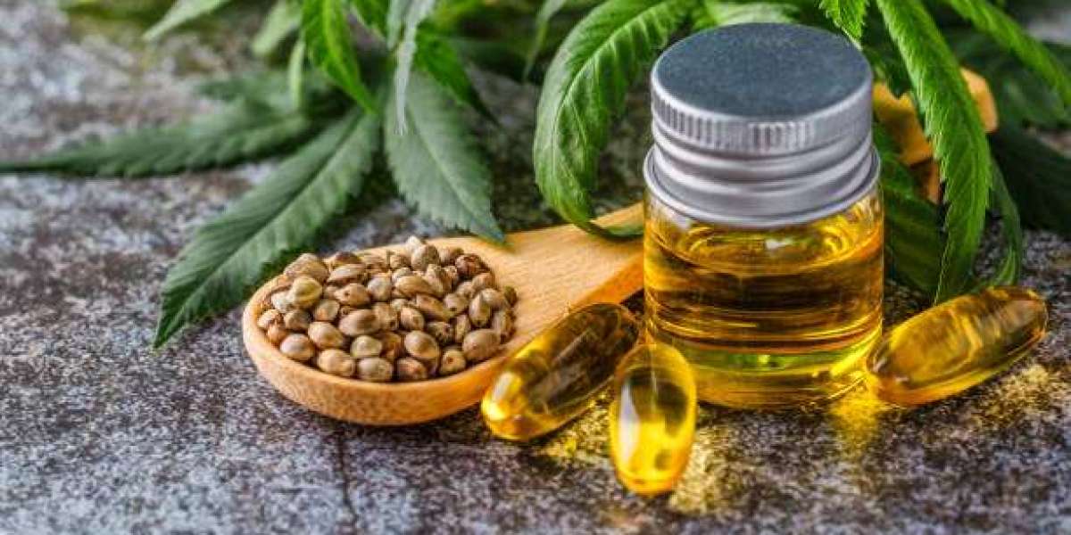 CBD Pessac : Découvrez les bienfaits du chanvre au cœur de la ville