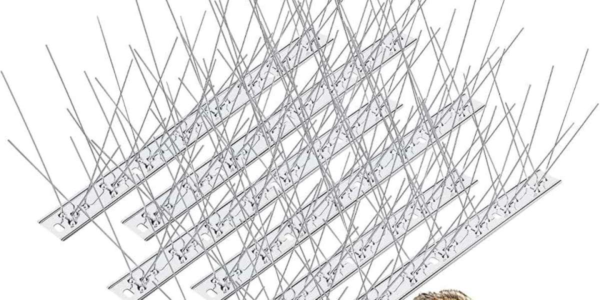 Bird Spikes for Villas, Warehouses, and Balconies in Dubai