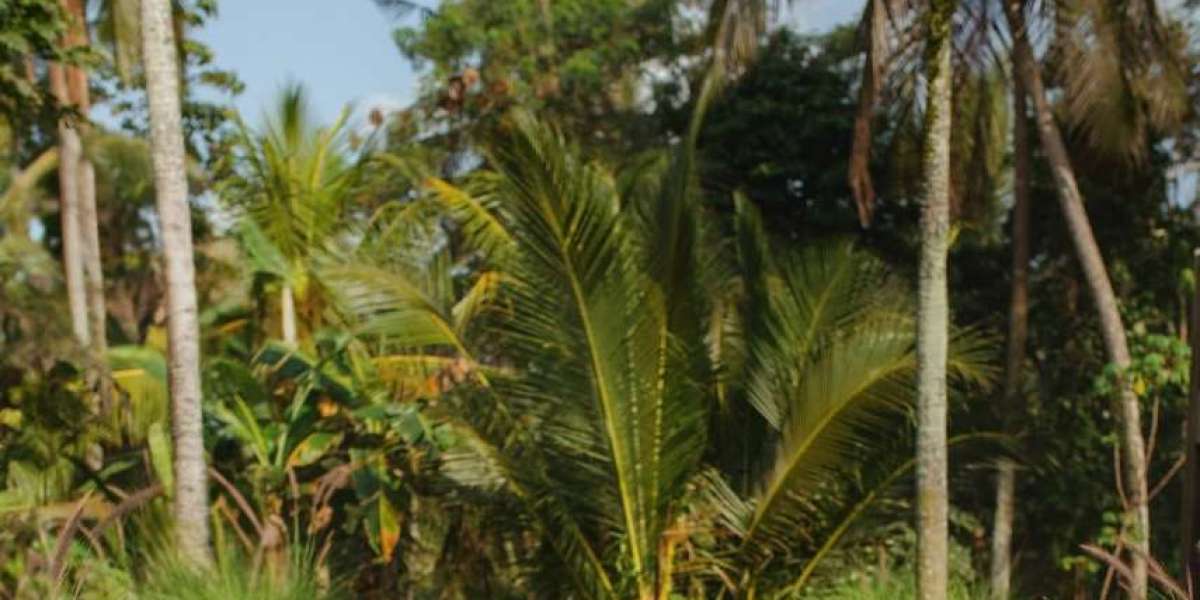 Bali in September