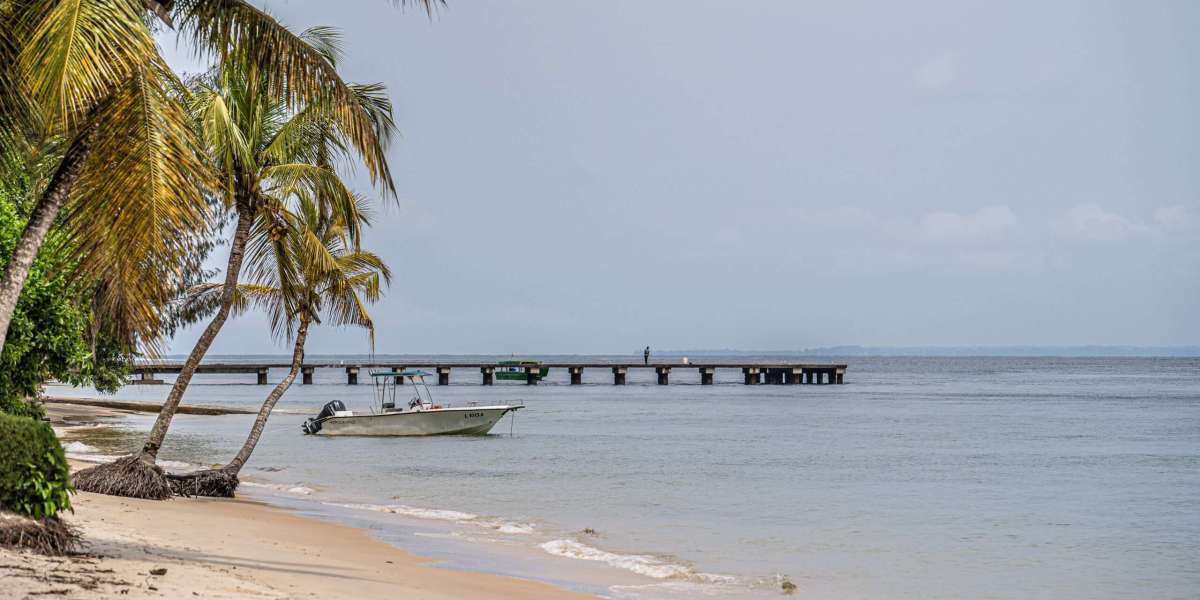 Gabon eVisa Fees, Validity, and Tips