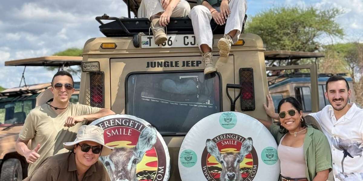 A Journey Defined by the Best Tanzania Safari Companies
