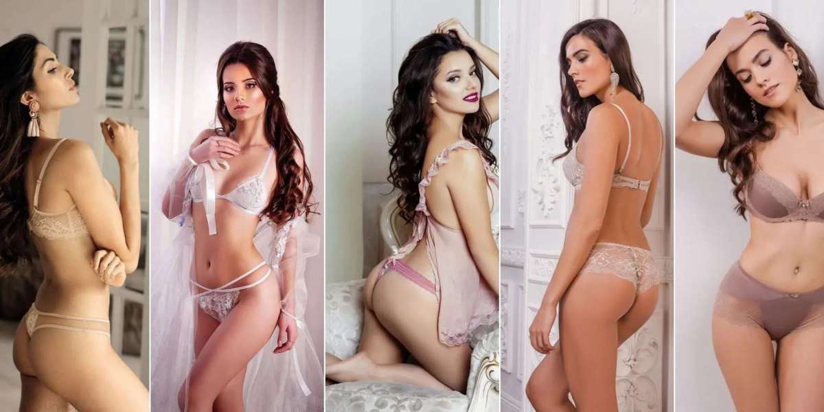 Escort service in Udaipur