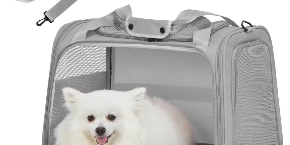Choosing the Perfect Dog Cage Small for Comfort and Safety