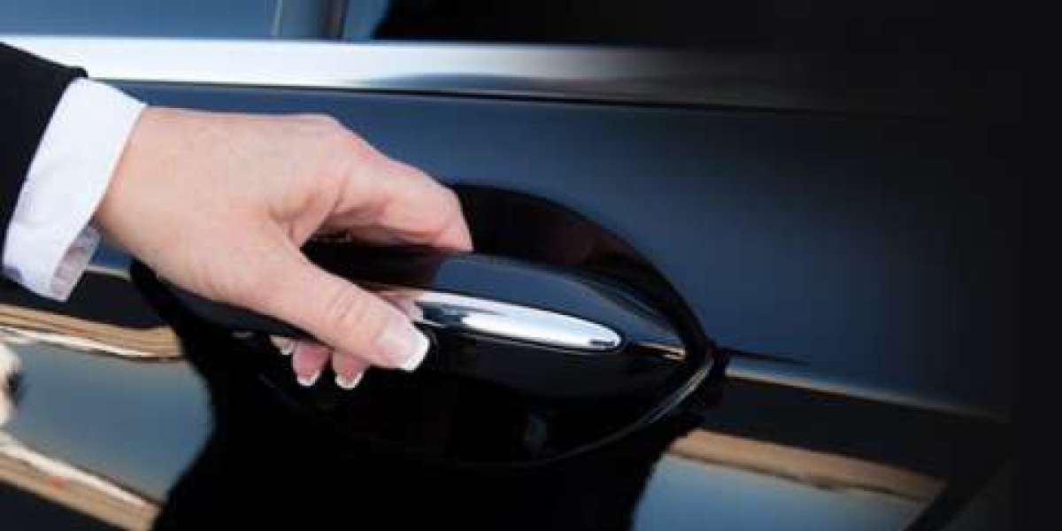 Exceptional Services for Every Occasion: La Costa Limousine