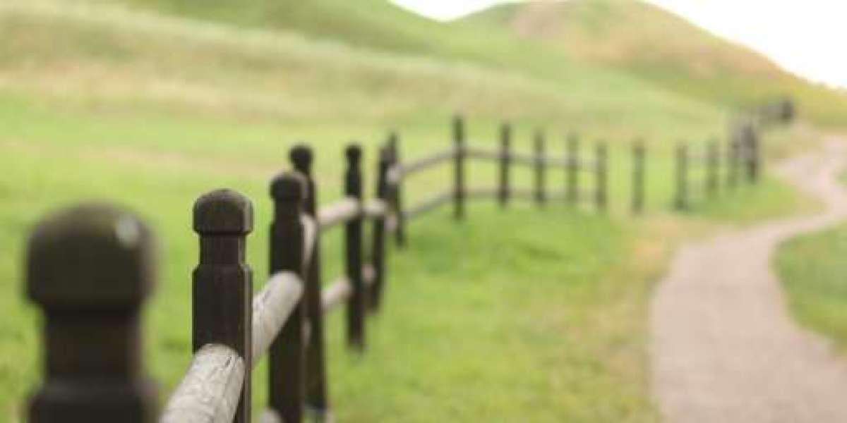 Is Wood Fence Cheaper Than Vinyl? A 2025 Homeowner's Guide to Fencing Costs and Value