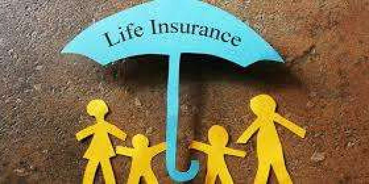 Your Guide to Hassle Free Insurance