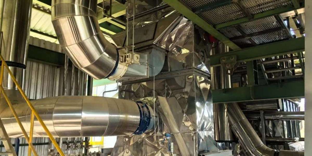 Walnut Oil Processing Plant Feasibility Report 2025: Raw Materials Requirement, Project Cost and Profit Margin