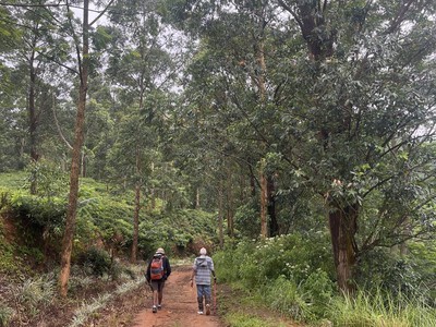 Why a Cloud Forest Retreat in Costa Rica Should Be Your Next Vacation? - Hotel Rivel