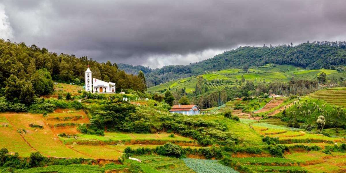 Ooty Honeymoon Packages – A Romantic Escape in Nature’s Lap